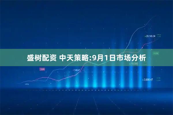 盛树配资 中天策略:9月1日市场分析