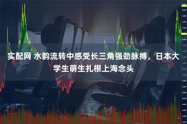 实配网 水韵流转中感受长三角强劲脉搏，日本大学生萌生扎根上海念头