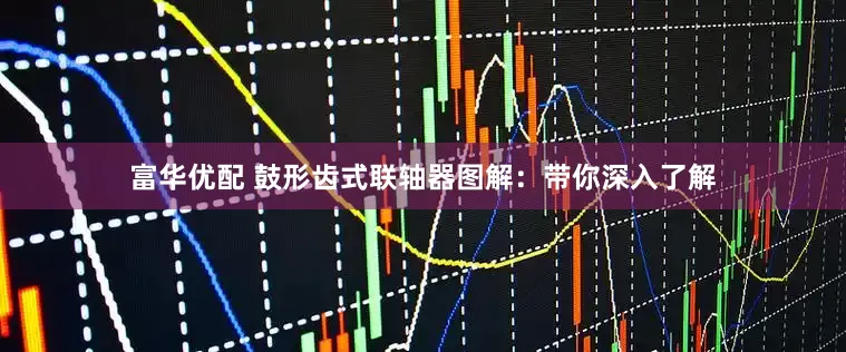 富华优配 鼓形齿式联轴器图解：带你深入了解
