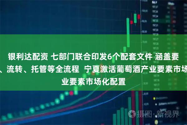 银利达配资 七部门联合印发6个配套文件 涵盖要素融资、流转、托管等全流程 宁夏激活葡萄酒产业要素市场化配置